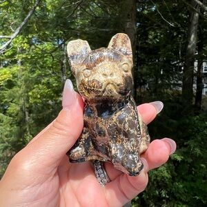 Picture jasper (2) dog craving | crystal